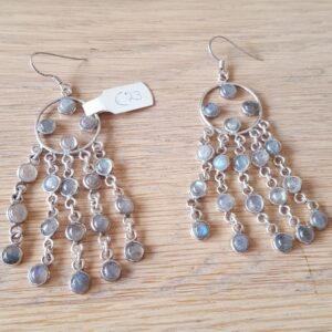 Oorhangers Labradoriet 2