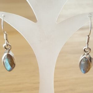 Oorhangers Labradoriet 5