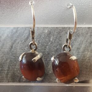 Oorhangers Kattenoog 1