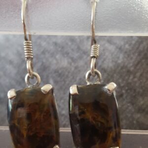 Oorhangers Pietersiet 1