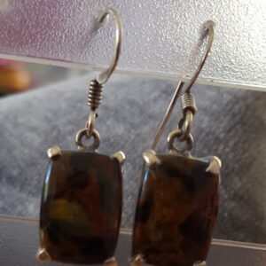 Oorhangers Pietersiet 2