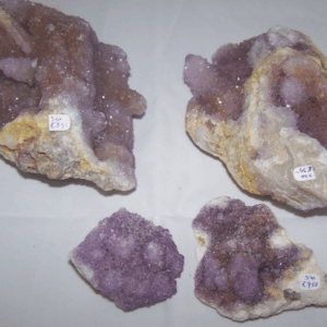 Amethist Cactus (Zielkwarts)