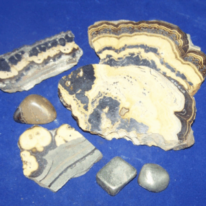 Schalenblende
