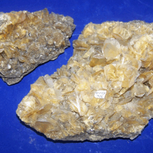 Selenietkristal Geel-Honing