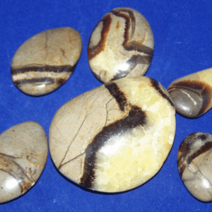 Septaria-Septarien-Septarie