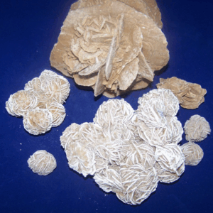 Woestijnroos (Zandroos)