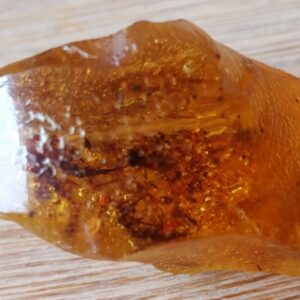 Barnsteen (Amber) met insecten 1