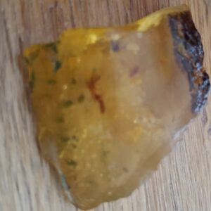 Barnsteen (Amber) met insecten 2