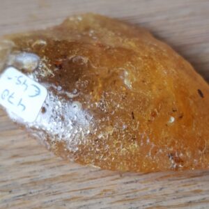 Barnsteen (Amber) met insecten 3