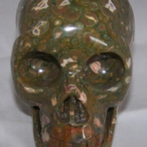 Ryoliet Schedel groot