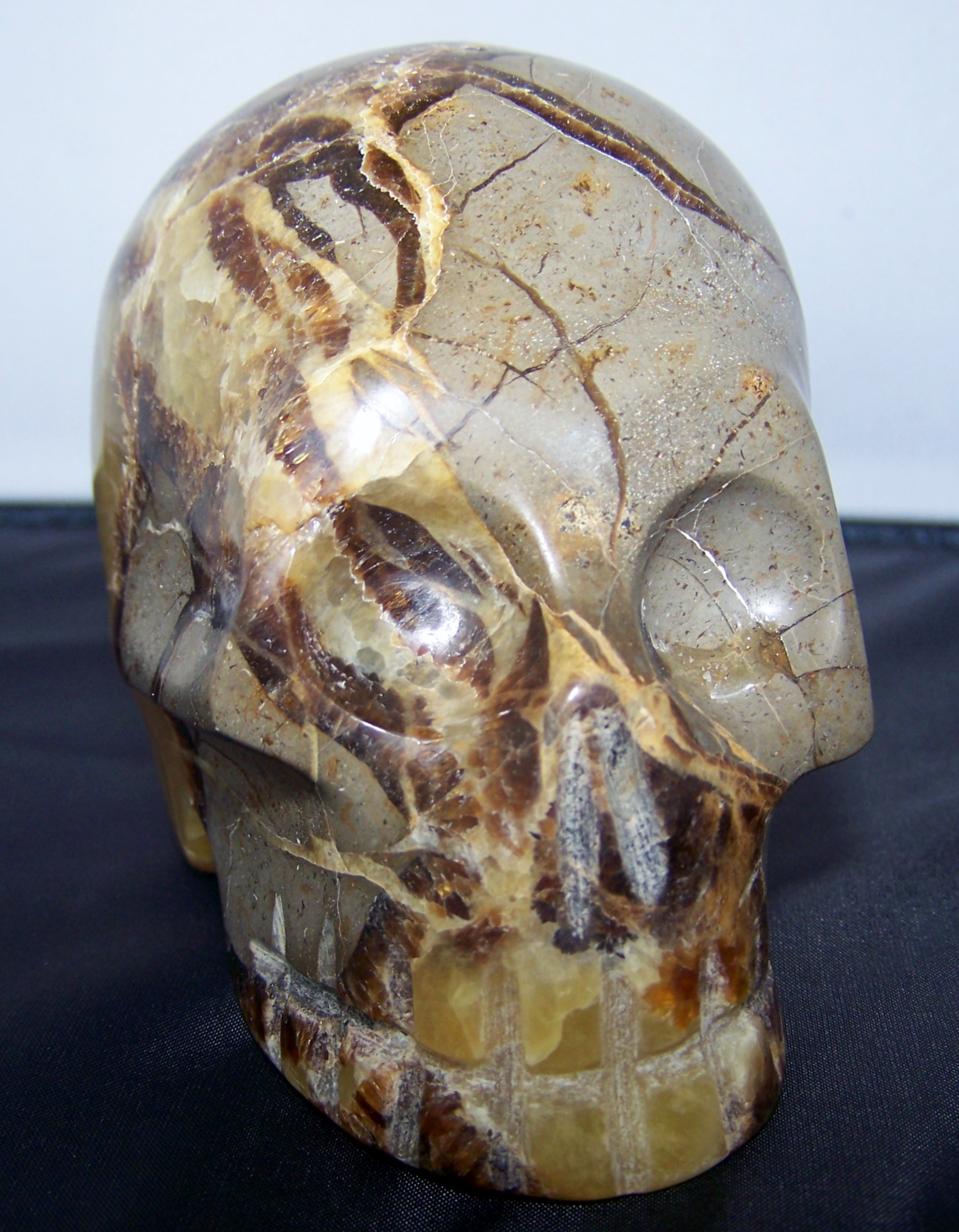 Septaria-Septarien-Septarie Schedel groot