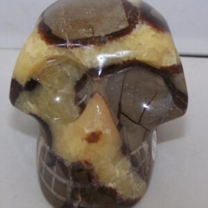 Septaria-Septarien-Septarie Schedel klein