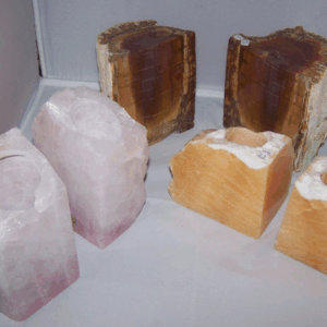 Versteend Hout Boekensteunen