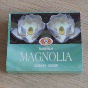 Cones Magnolia