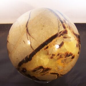 Septaria-Septarien-Septarie 90mm