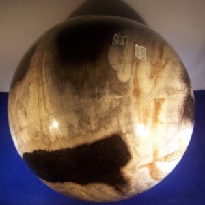 Versteend Hout Bol 150mm