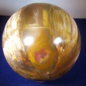 Versteend Hout Bol 89mm