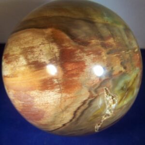 Versteend Hout Bol 91mm-11