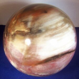 Versteend Hout Bol 91mm-1